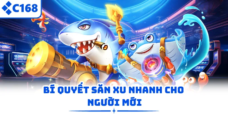 Bí quyết săn xu nhanh cho người mới